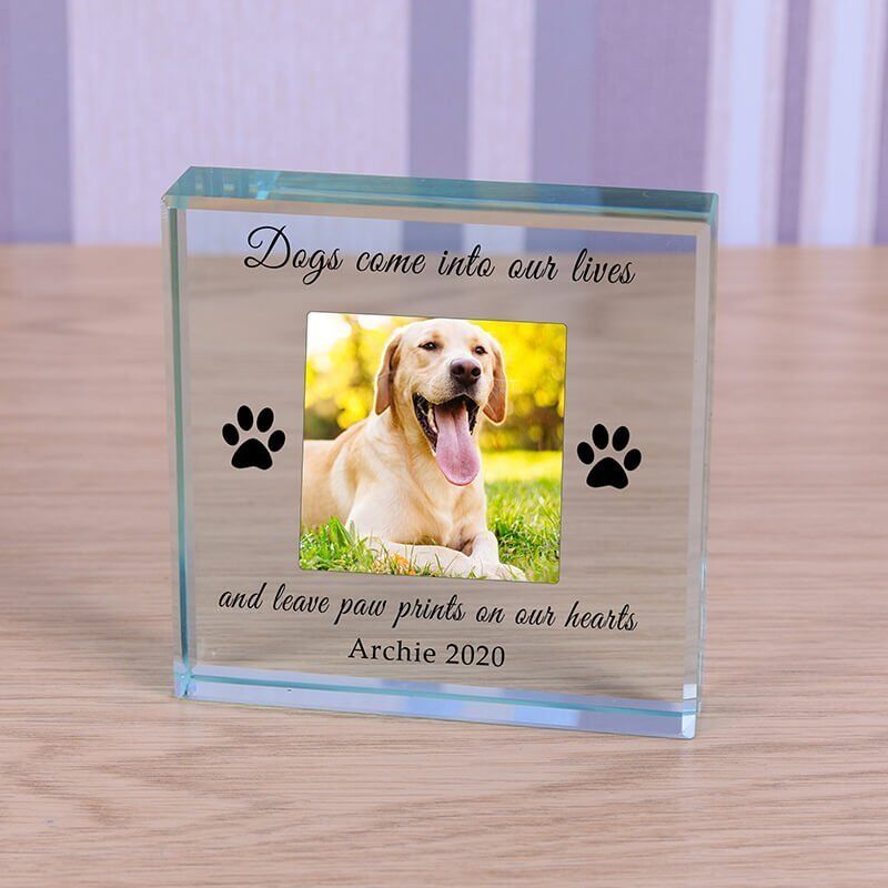 Personalised Glass Photo Frame – Paw Prints